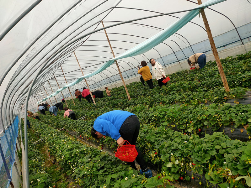 韩漫免费无羞遮无删漫画入口